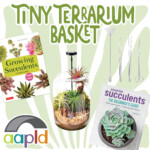 Teen Grand Prize: Tiny Terrarium Basket"