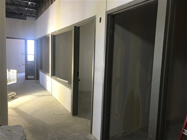 Adult Study rooms Adult study rooms