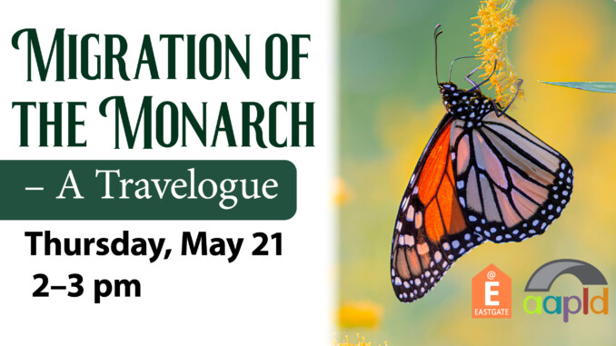 Join us on Thursday, May 21 from 2 to 3 PM for the Migration of the Monarch - a Travelogue